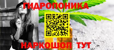 крисы Конаково