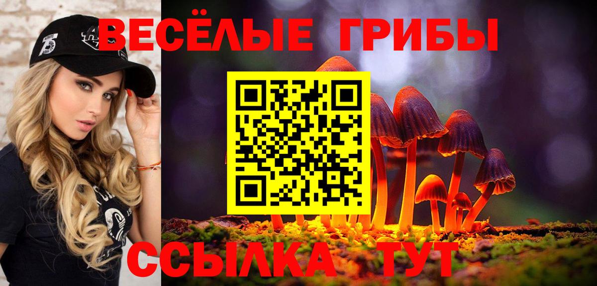 Галлюциногенные грибы Cubensis  Вход с VPN  Удомля  Галлюциногенные грибы MAGIC MUSHROOMS 