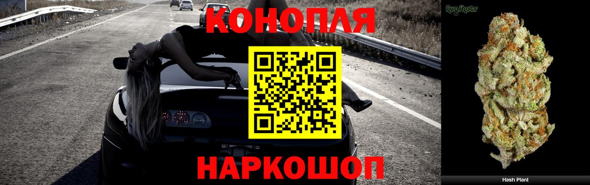 Бошки Шишки OG Kush Удомля